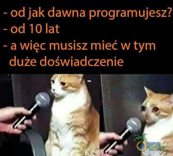 - od jak dawna programujesz? rip m [ea I) lat - a więc musisz mieć w tym A. „5 PE |ZA= IH duże doświadczenie