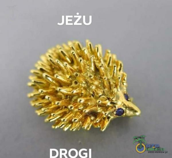 JEŻU