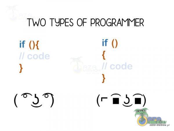 TWO TYPES OF PROGRAMNMER if ()f if () I (3) (mim) ł