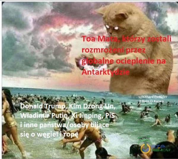 rozm Put• • inne pan ię o węgi