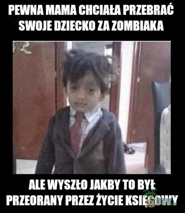 SWOJE DZIECKO ZA ZOMBIAKA ALE wysno PRZEORANY PRZEZ ZYCIE KSIEGOWY