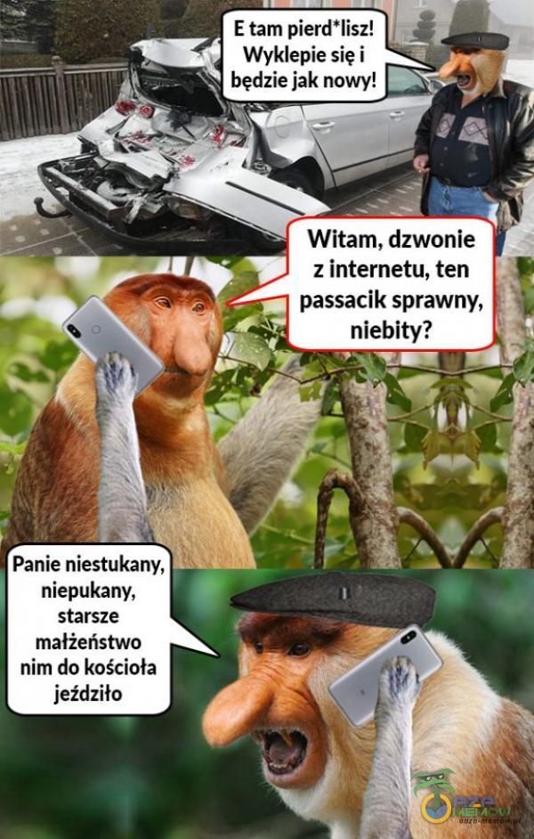 Codziennie tylko śmieszne memy, pasty, gify, suchary i filmy - przeglądaj, komentuj, dodawaj własne!