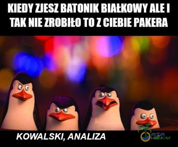 KIEDY ZJESZ BATONIK BINKOWY ALE I TAK NIE ZROBItO TO Z CIEBIE PAKERA KOWALSKI, ANALIZA