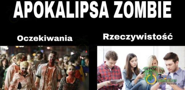 APOKALIPSA ZOMBIE Rzeczywistość Oczekiwania