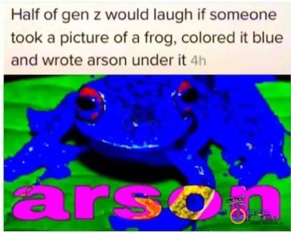 Half of gen z would laugh if someone took a picture of a frog, colored it blue and wrote arson under it