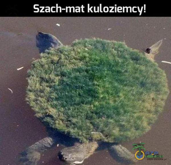 O zla RUCI ICE UAV!