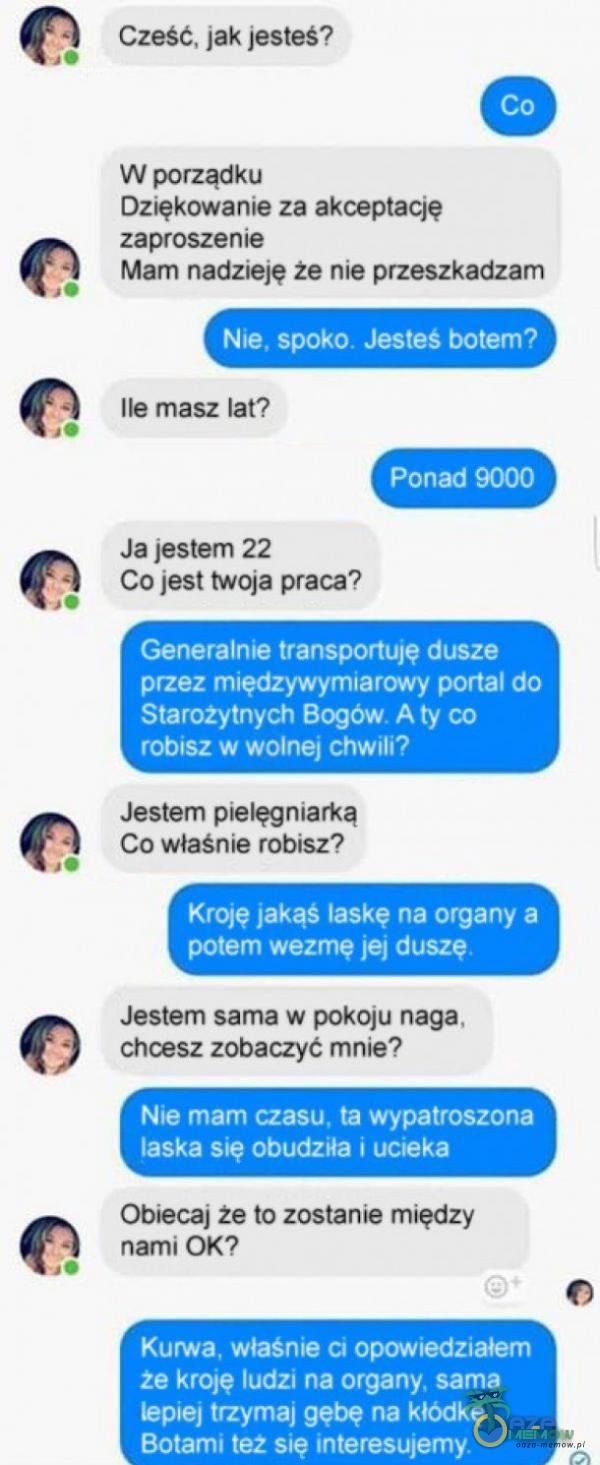   40 Cześć, jak jesteś? co W porządku Dziękowanie za akceptację zaproszenie Mam nadzieję że nie przeszkadzam Nie, spoko. Jesteś botem? Ile masz lat? Ponad 9000 Ja jestem 22 Co jest twoja praca? Generalnie transportuję dusze przez...