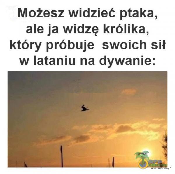 Możesz widzieć ptaka, ale ja widzę królika, który próbuje swoich sił w lataniu na dywanie: