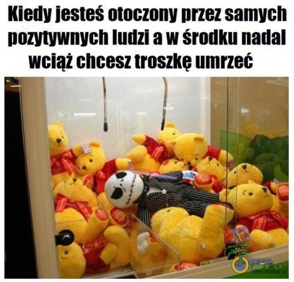 Codziennie tylko śmieszne memy, pasty, gify, suchary i filmy - przeglądaj, komentuj, dodawaj własne!