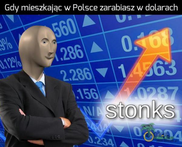 Gdy mieszkając w Polsce zarabiasz w dolarach stonką 071204