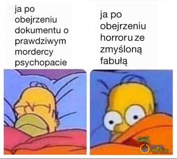 ja po obejrzeniu dokumentu o prawdziwym mordercy ja po obejrzeniu horroru ze zmyśloną