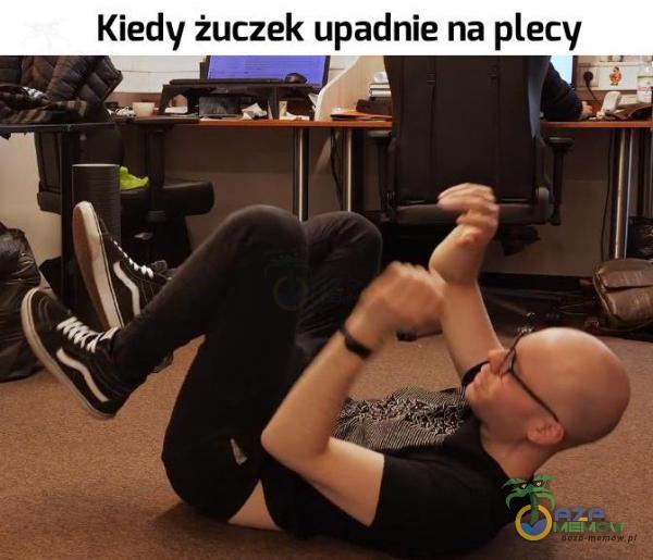 Kiedy żuczek upadnie na ecy _