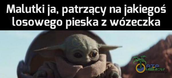 Malutki ja, patrzący na jakiegoś losowego pieska z wózeczka