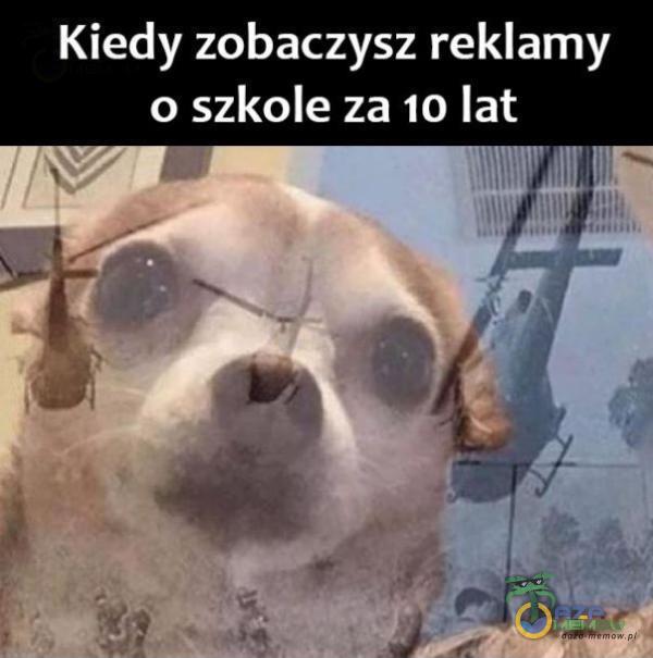 Kiedy zobaczysz reklamy o szkole za 10 lat