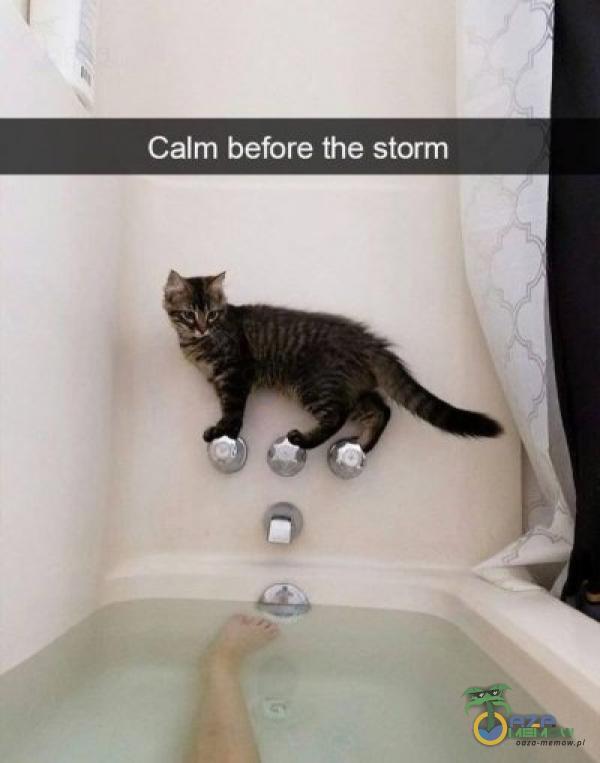 Calm before tha storm