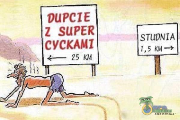 PUPCIE Z SUPER CYCKAMI 25 STUDNIA