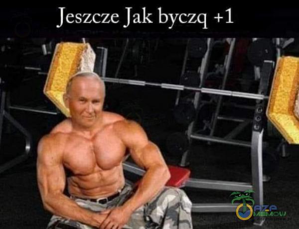 Jeszcze Us byczą +1