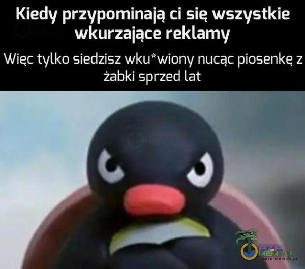 Codziennie tylko śmieszne memy, pasty, gify, suchary i filmy - przeglądaj, komentuj, dodawaj własne!