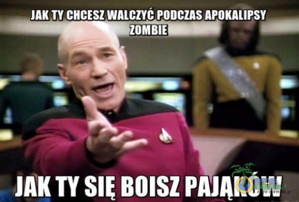 JAK TY CHCESZ WALCZYt PODCZAS APOKALIPSY JAK W BOISZ PAJĄKÓW