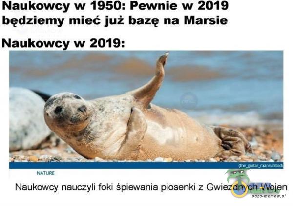 Naukowcy w 1950: Pewnie w 2019 będziemy mieć już bazę na Marsie Naukowcy w 2019: Naukovvcy nauczyli foki śpiewania piosenki z Gwiezdnych Tvbjen