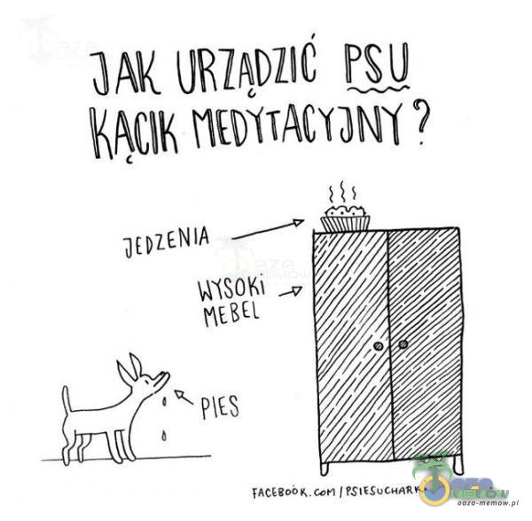 OAK PSU KĄCIK