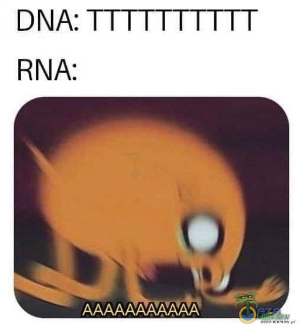 DNA: TTTTTTTTTIT RNA: YNN NNN