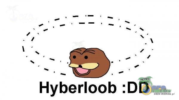 Hyberloob