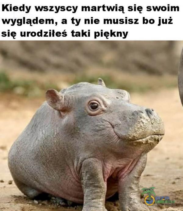 Kiedy wszyscy martwią się swoim wyglądem, a ty nie musisz bo już się urodziłeś taki piękny 7 TT