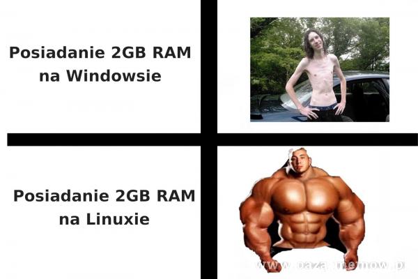 Posiadanie 2GB RAM na Windowsie Posiadanie 2GB RAM na Linuxie
