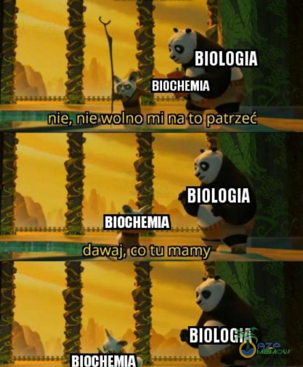 BIOLOGIA BIOLOGIA