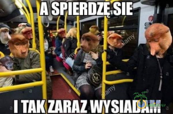 Codziennie tylko śmieszne memy, pasty, gify, suchary i filmy - przeglądaj, komentuj, dodawaj własne!