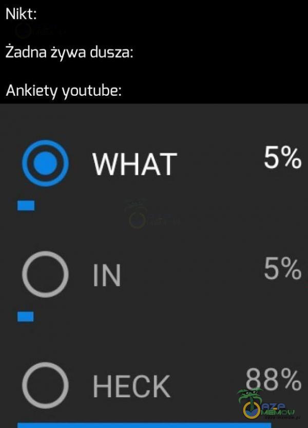 Nikt: Żadna żywa dusza: Ankiety youtube: 5% 5% 88%