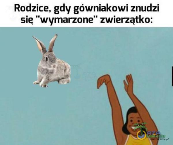 Rodzice, gdy gówniakowi znudzi sie wymarzone zwierzątko: