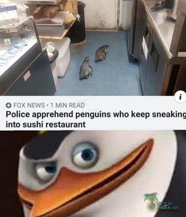 © ruxN Police apprehend penguins who keep sneaking into sushi restaurant
