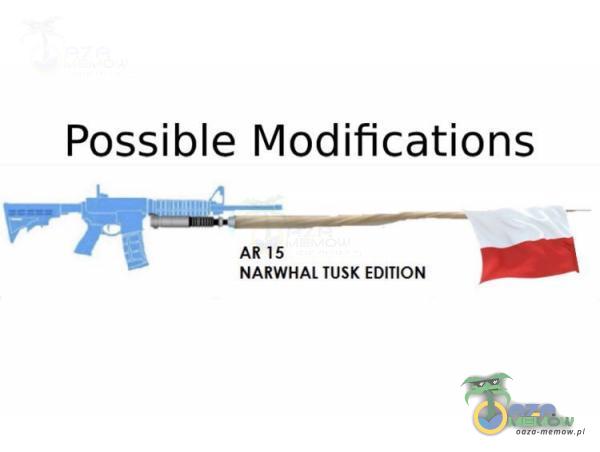 Possible Modifications AR 15 NARWHAL TUSK EDITION