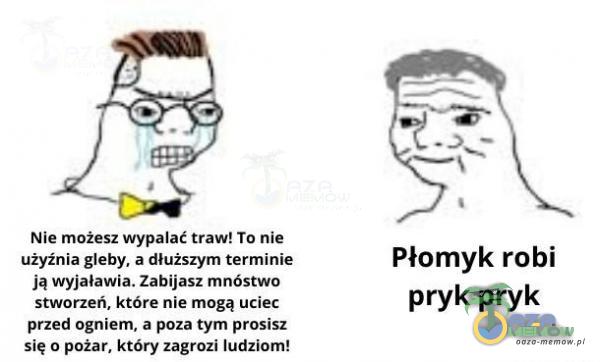 Nie możesz Wypalać traw! To nie użyżnia głeby, a dłuższym zerminie Ja wyJaławia. Zabijasz mnóstwo sstwórzeń, które ni mogą uclec przed ogniem; x poza tym prośisz się.u pożar: który zagrazł lutziom? Płomyk robi pryk pryk