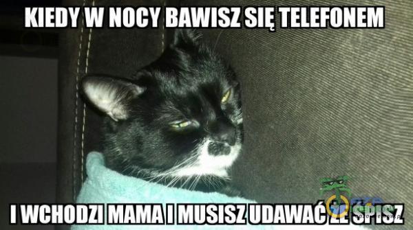 KIEDY W NOCY BAWISZ TELEFONEM I WCHODZI MAMA I MUSISZ UDAWAC SuSZ