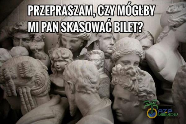 PRZEPRASZAM, czy MÓGŁBY PAN SKASOWAĆ BILET?