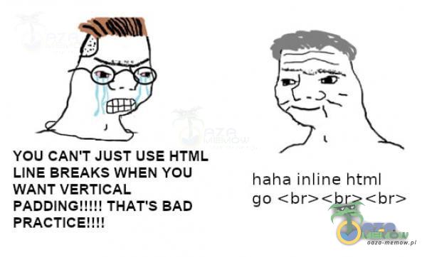 YOU CAN T JUST USE HTML WANPOERNICAL | You haka iniin= html PADDINGII THAT S BAD qo PRASTICE!!!!