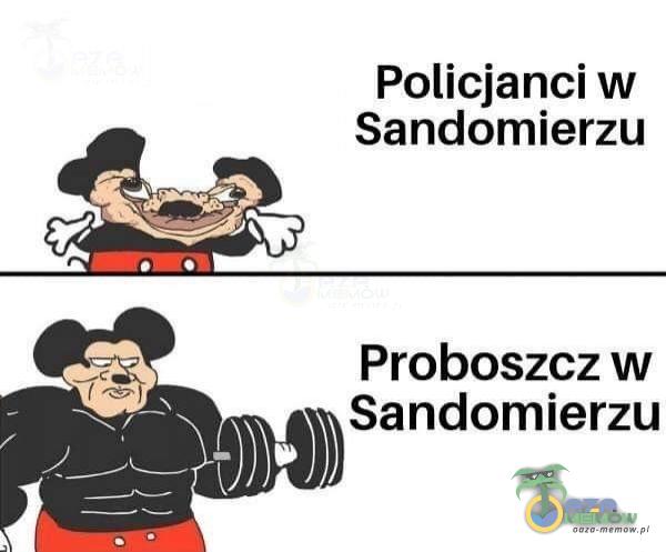 Policjanci w Sandomierzu Proboszcz w Sandomierzu