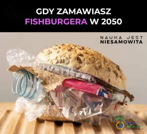 GDY ZAMAWIASZ FISHBURCERA W 2050 NA U H A JEST NIESAMOWITA