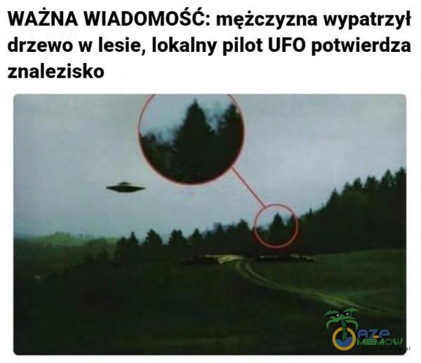 WAŻNA WIADOMOŚĆ: mężczyzna wypatrzył drzewo w lesie, lokalny pilot UFO potwierdza znalezisko