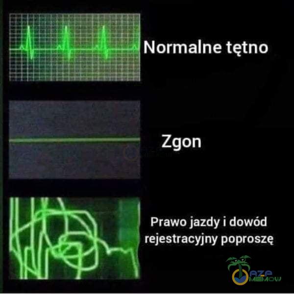 Normalne tętno Zgon Prawo jazdy i dowód rejestracyjny poproszę