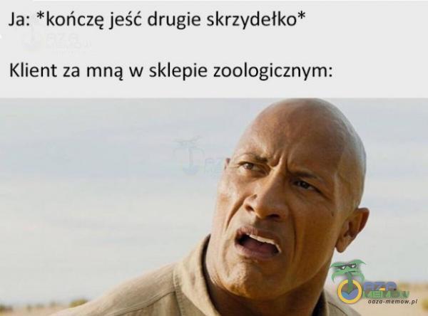 Ja; *k ończę jaśłi drugie skrzydełka? Klient za mną w sklepie zoologicznym: