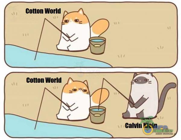 conon World Cotton World Calvin Klein