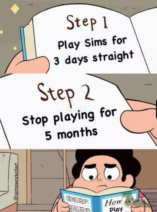 Step I Play Sims for 3 days straight Stop aying for 5 months How to