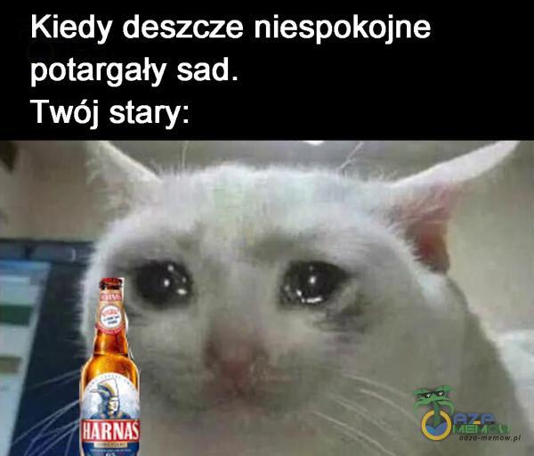 Codziennie tylko śmieszne memy, pasty, gify, suchary i filmy - przeglądaj, komentuj, dodawaj własne!