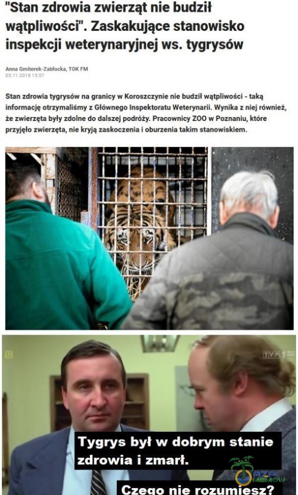   Stan zdrowia zwierząt nie budził wątiwości . Zaskakujące stanowisko inspekcji weterynaryjnej ws. tygrysów Stan zdrowia tygrysów na granicy w Koroszczynie nie budził wątiwości - taką informację otrzymaliśmy z Głównego Inspektoratu...