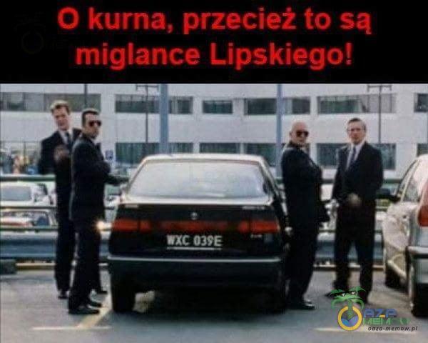 O kurna, przecież to są miglance Lipskiego! nc 039E