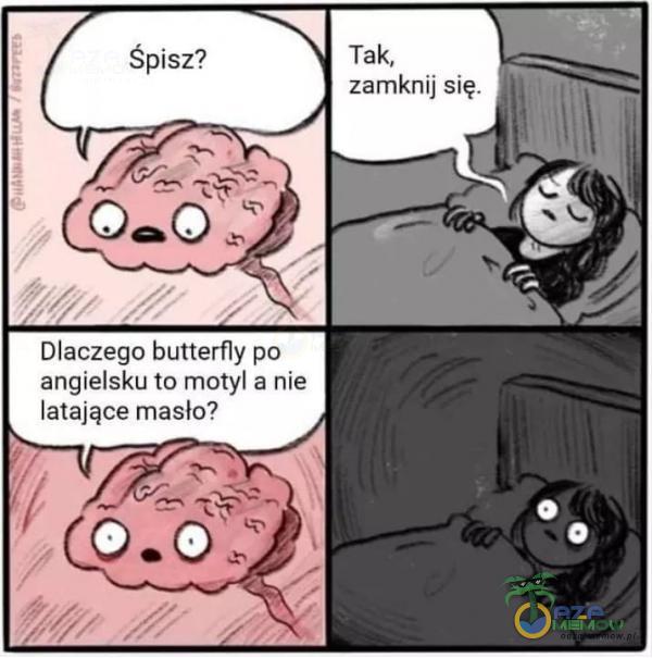 Śpisz? o.ôlș Dlaczego butterfly po angielsku to motyl a nie latające masło? o.ôț: Tak, zamknij się.